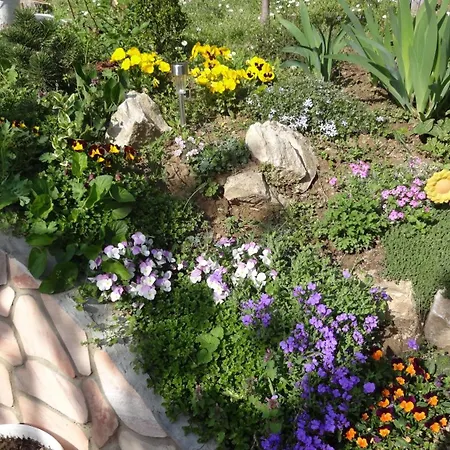 Valloris Apartamento