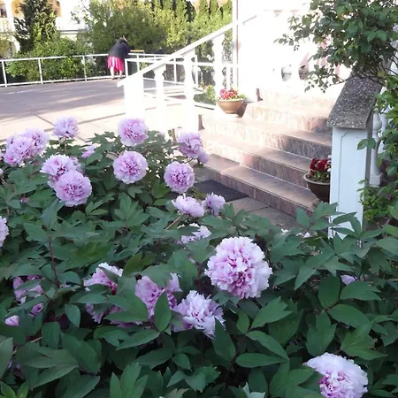 Valloris Apartamento *