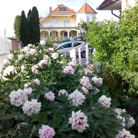 Valloris *